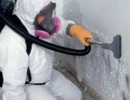 Best Commercial Mold Inspection  in Grenelefe, FL